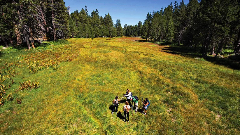 Students learning in a forest clearing.